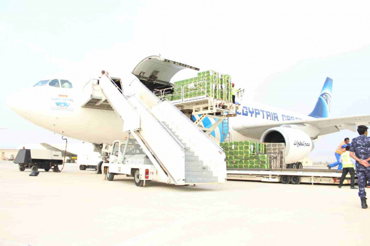 The inaugural Egyptair Cargo freighter service to Ras Al Khaimah International Airport landed in October with a delicate cargo from Cairo – about 60 million honey bees.
The bees were destined for farms across the UAE. Honey production in the country has seen huge growth over the past five years.
More than 1,800 tonnes of honey is exported annually.
“RAK Airport is ideally positioned to handle this precious cargo and we are grateful to Egyptair Cargo and Al Najeh Honey & Bees Trading to give us the opportunity to demonstrate our capabilities in this regard,” said Sheikh Salem Bin Sultan Al Qasimi, the chairman of Ras Al Khaimah International Airport and Department of Civil Aviation. “We also appreciate all the support provided by the Ministry of Environment and Climate Change, RAK Customs and other authorities.”
The bees themselves were part of a re-stocking exercise that takes place regularly, and have to be handled with great care. Mohammed Al Najeh, who runs the operation and heads Najeh Honey and Bees Trading explained that the exercise of getting the bees from Egypt is one that has to run like clockwork to avoid disaster.
The flight timing is chosen so that the bees arrive after the fierce midday heat and are met immediately by the 30 customers who pick them up and head back to the farms. Inside the aircraft the temperature is set to -15 degrees Celsius in order to offset the high temperatures that the mass of bees create.
Najeh’s operations are so cutting edge within the industry that last week Philip McCabe, president of Apimondia, the world beekeeping federation, visited the UAE in order to learn about the process.
McCabe also met with His Excellency Dr. Thani Ahmed Al Zeyoudi, Minister of Climate Change and Environment, whose ministry has given strong support to the UAE’s honey industry.
Egyptair Cargo country manager, Sherif Sabry, said “Egyptair Cargo is a specialist and one of the leading airlines in the transportation of live bees and we are happy to fly them to RAK Airport as a new route on our network from Cairo.”
RAK Airport CEO Mohammed Qazi, commented, “We have been planning this operation for many months and our goal is simply to become the leader in the industry to deliver complete operational excellence for handling live bees. Our infrastructure is best suited for such operations and we will ensure we continue to improve and surpass our already established high standards. We believe what Mr. Al Najeh is doing for the industry is quite revolutionary, and we are pleased to be part of his high ambitions. UAE could become a regional leader in bee farming and organic honey production, and we believe RAK Airport could play a crucial part in that process.”
RAK Airport’s recent announcements included the early start of its winter charters from various countries in Europe, CIS and Russia, and the management has continued to deliver RAK Airport’s growth trajectory amid a challenging economic climate. BIG PICTURE: 60-million honey bees flown to RAK