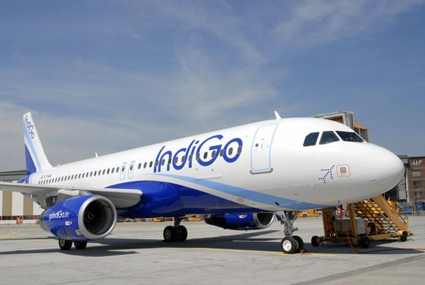 Indigo, Air cargo, Turkey Indigo, Air cargo, Turkey