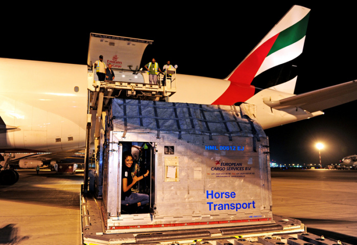 Emirates sky cargo, Logistics, NEWS Emirates sky cargo, Logistics, NEWS