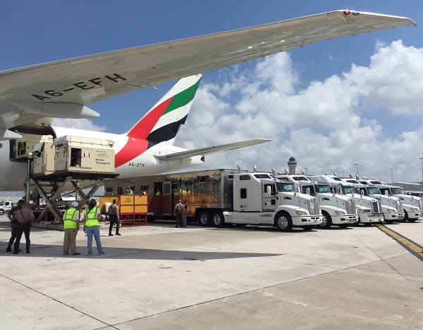 Emirates SkyCargo, the freight division of Emirates, has successfully transported some of the world’s best show jumping horses across three continents in the space of a month.
The horses were transported from Liege in Belgium to compete in the first three legs of the Longines Global Champions Tour in Mexico City, Miami and Shanghai in April 2017.
The air cargo carrier operated a total of 10 dedicated freighter flights each carrying 25 horse stalls to transport the equine champions and their grooms.
Emirates SkyCargo worked closely with Peden Bloodstock, a specialist in horse transportation to manage the complex logistics involved in flying close to 100 horses across four different countries within the space of a few weeks.
Mexico City and Miami
Emirates SkyCargo transported 93 horses in two flights from Liege to Mexico City for the first segment of the journey between 31 March and 1 April 2017.
The horses, each weighing between 600-650 kgs, were transported in Emirates SkyCargo Boeing 777F freighters along with 11 accompanying grooms and about 30 tonnes of equipment.
The flights lasted close to 12 hours and the horses arrived at their destination a few days ahead of the start of the championships. Incidentally all the winners of the CSI 5 level competitions at the Longines Global Champions Tour event in Mexico City had travelled on board Emirates SkyCargo.
The second leg of the tour involved a relatively shorter three hour hop for the 93 horses from Mexico City to Miami onboard Emirates SkyCargo freighters. At the close of the event in Miami, the horses were brought back to Liege on 16 April 2017.
Shanghai
For the next stop in the itinerary, the air cargo carrier transported 96 horses and 27 grooms in three separate flights from Liege to Shanghai on 22 and 23 April 2017 and back on 1st and 2nd May 2017. The jet-setting horses had approximately one week on the ground at each destination to compete in tournaments before being transported to the next stop on their itinerary. Dedicated and trained staff were on the ground at each destination to ensure smooth handling and maximum comfort for the horses.
Emirates SkyCargo combines state of the art facilities including a modern fleet of wide-bodied aircraft and custom designed horse stalls along with exceptional logistical arrangements on the ground by working with specialists such as Peden Bloodstock.
The result is a calm and comfortable environment that ensures the well-being of horses while at the same time complying to all international norms for the transport of live animals.
The air cargo carrier regularly transports champion horses for leading equestrian competitions around the world.
With a global network of over 150 destinations across 83 countries, Emirates SkyCargo has regularly transported premium horses across six continents.
Earlier this year the carrier transported some of the world’s best racing horses to Dubai for the Dubai World Cup horse racing championship. Emirates SkyCargo also boasts of specialist facilities for horses such as a dedicated horse ramp for boarding horses at its freighter hub at Dubai World Central.
Emirates SkyCargo is the largest international airline cargo operator in the world and operates a modern fleet of 259 all wide-bodied aircraft, including 15 freighters- 13 Boeing 777-Fs and two B747-400ERFs. BIG PIC: Emirates flies 100 horses across 3 continents