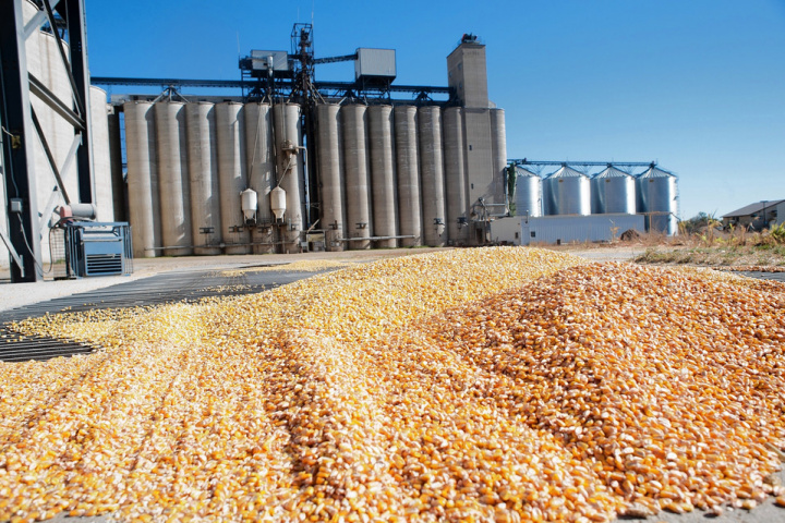 Saudi arabia, Grain, Flour, Food security, Food supply chain Saudi arabia, Grain, Flour, Food security, Food supply chain