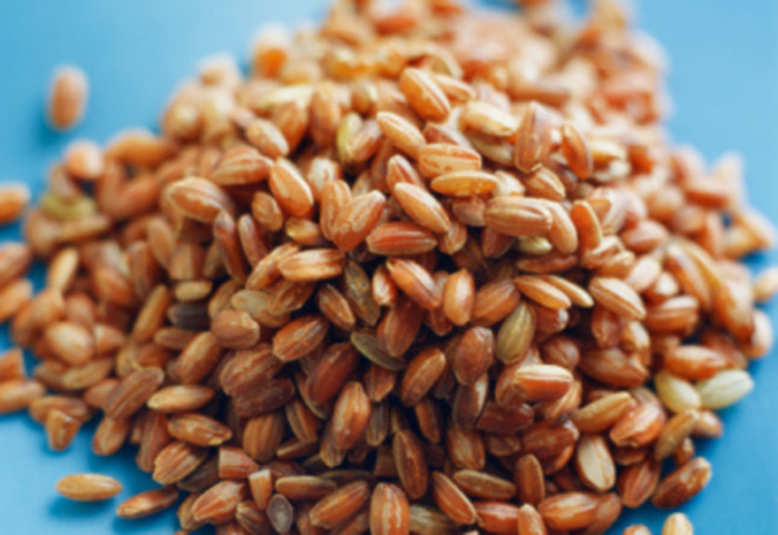 Food, Logistics, Mena, NEWS Food, Logistics, Mena, NEWS