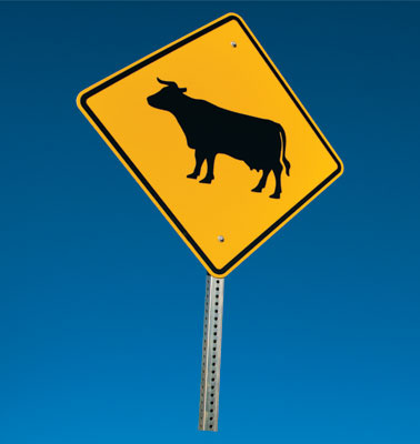 Halal logistics is a buzz term in the industry Halal logistics is a buzz term in the industry