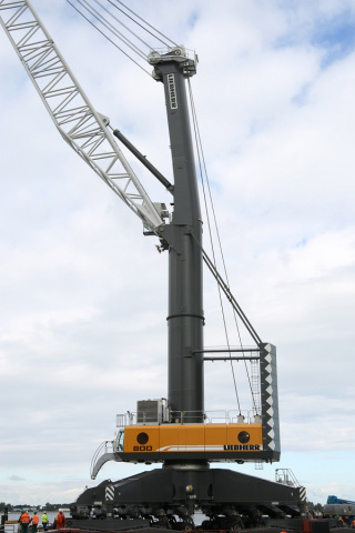 DP World has invested in three new mobile harbour cranes for the port (image illustrative only). DP World has invested in three new mobile harbour cranes for the port (image illustrative only).