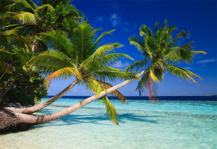 The Maldives is a popular holiday destination. The Maldives is a popular holiday destination.