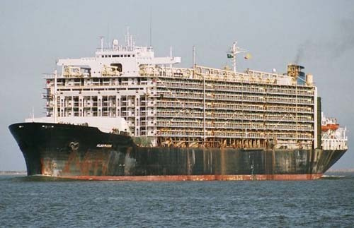 Australia, Livestock, Sheep, Middle east, Shipping Australia, Livestock, Sheep, Middle east, Shipping