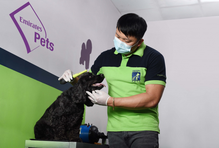 Emirates skycargo, Emirates Pets, Air freight, Air cargo, Dubai Emirates skycargo, Emirates Pets, Air freight, Air cargo, Dubai