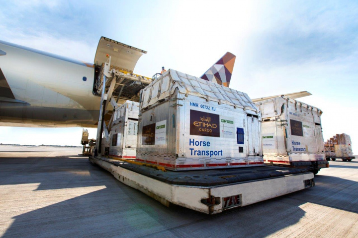 Etihad cargo, Equestrian, Logistics, Air cargo, Longines masters Etihad cargo, Equestrian, Logistics, Air cargo, Longines masters