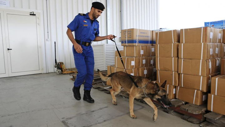 Dubai Customs inspector with canine (Image illustrative only) Dubai Customs inspector with canine (Image illustrative only)