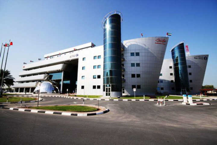 Dubai customs Dubai customs