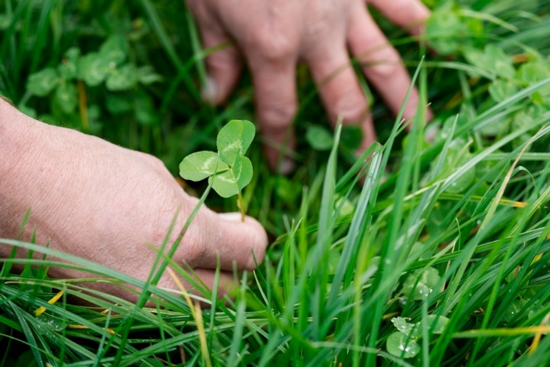 Trade is increasing between New Zealand and the GCC, as consumers move towards more environmentally conscious eating habits. Trade is increasing between New Zealand and the GCC, as consumers move towards more environmentally conscious eating habits.