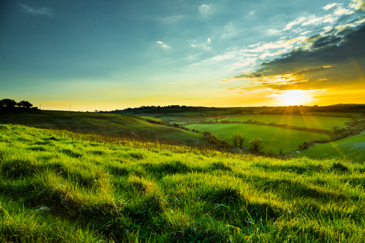 Irish Countryside Shutterstock ID 484412599 Purchase Order 50568 Job Bord Bia ClientLicensee DesignWorks Irish Countryside Shutterstock ID 484412599 Purchase Order 50568 Job Bord Bia ClientLicensee DesignWorks